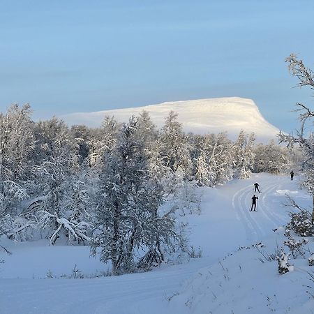 Bruksvallarna - Modern Fjaellstuga Med Panoramautsikt Och Wifi エクステリア 写真