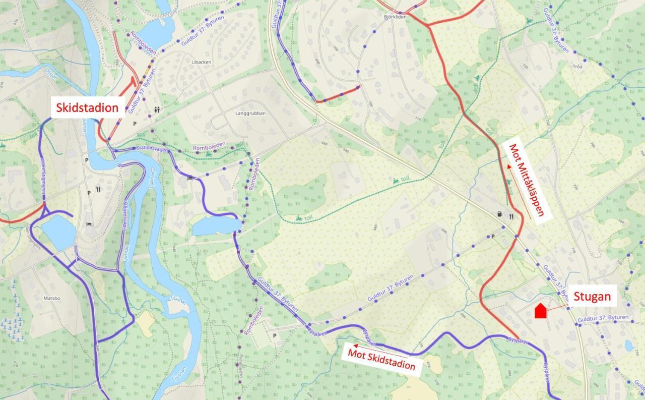 Bruksvallarna - Modern Fjaellstuga Med Panoramautsikt Och Wifi エクステリア 写真
