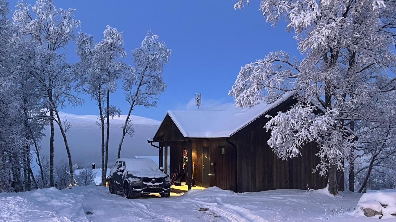 Bruksvallarna - Modern Fjaellstuga Med Panoramautsikt Och Wifi エクステリア 写真