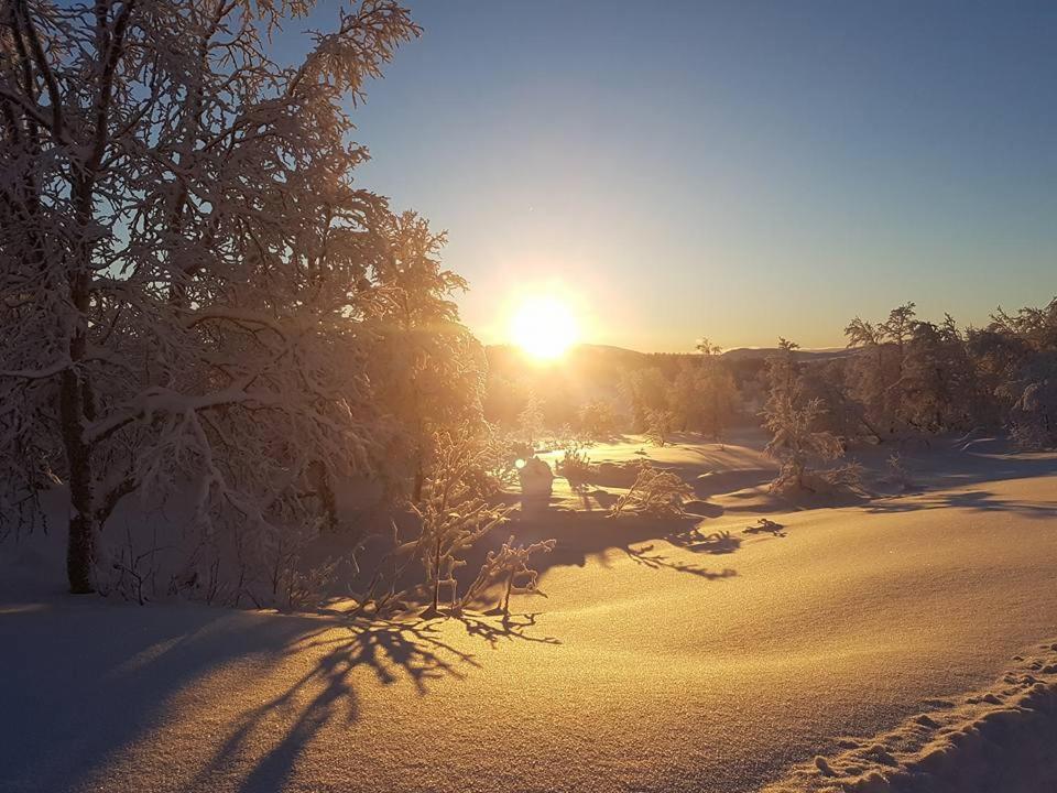 Bruksvallarna - Modern Fjaellstuga Med Panoramautsikt Och Wifi エクステリア 写真