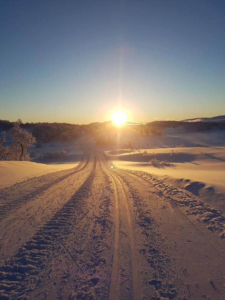 Bruksvallarna - Modern Fjaellstuga Med Panoramautsikt Och Wifi エクステリア 写真
