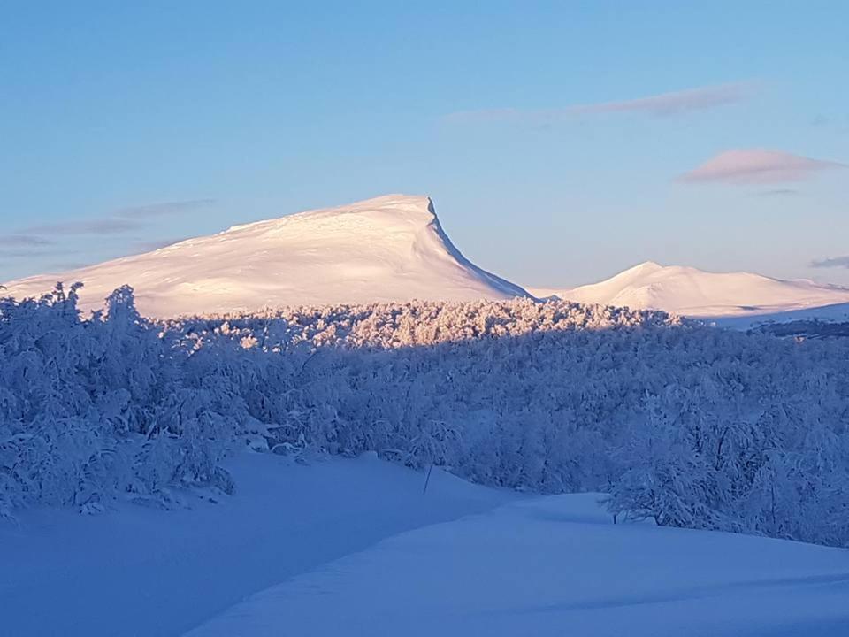 Bruksvallarna - Modern Fjaellstuga Med Panoramautsikt Och Wifi エクステリア 写真