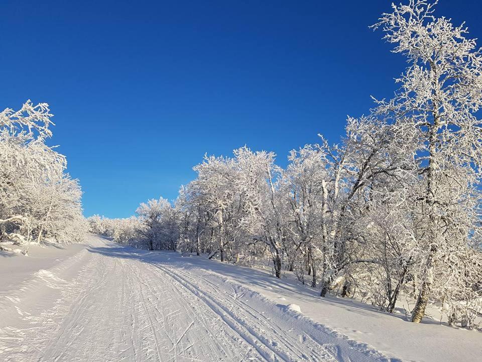 Bruksvallarna - Modern Fjaellstuga Med Panoramautsikt Och Wifi エクステリア 写真
