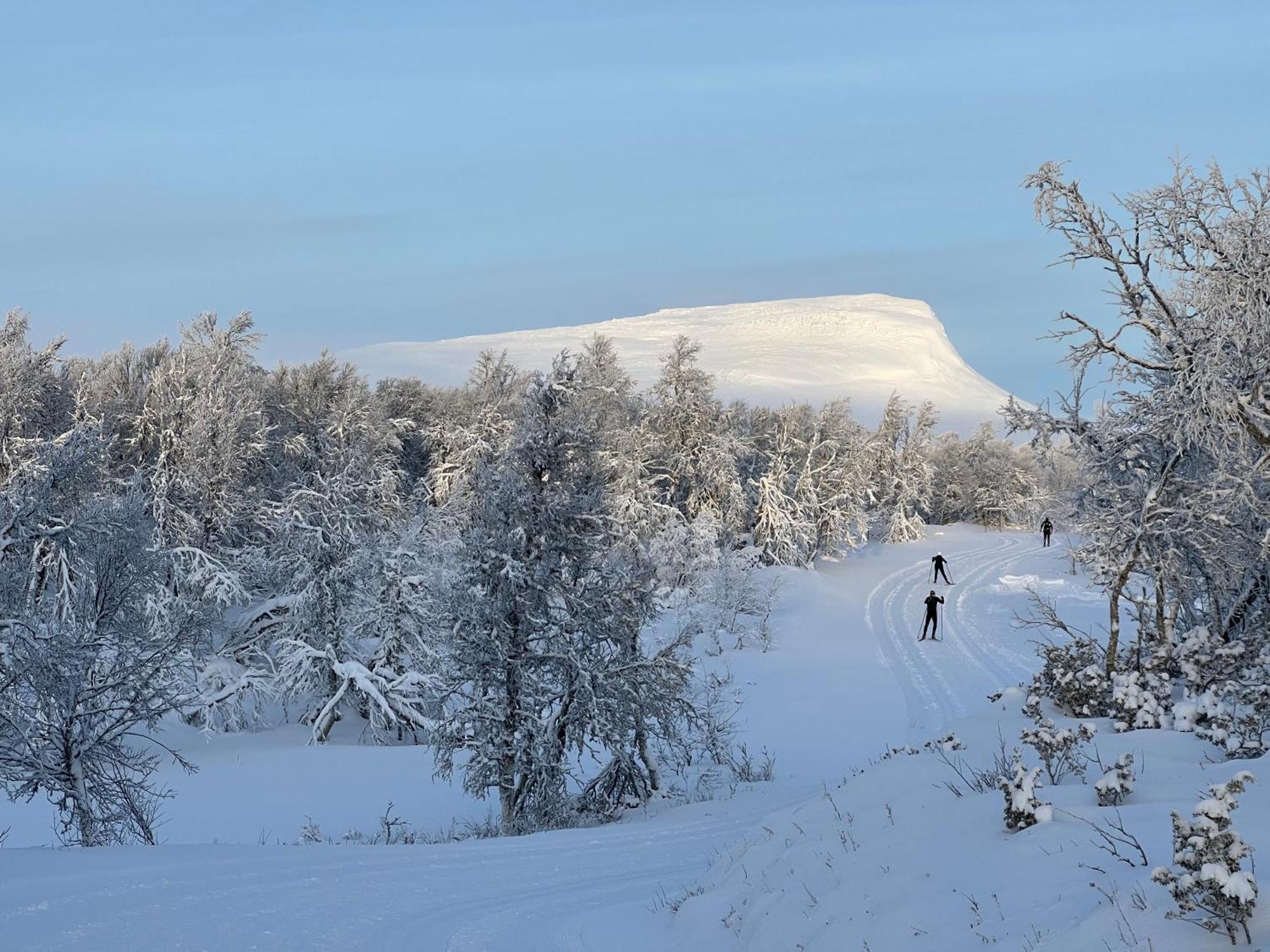 Bruksvallarna - Modern Fjaellstuga Med Panoramautsikt Och Wifi エクステリア 写真